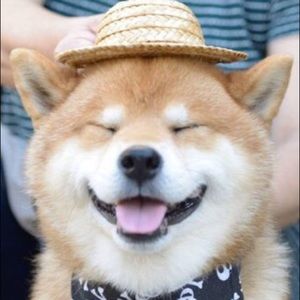 Meet your Posher, Sydney